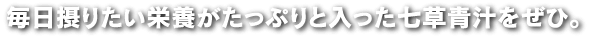 毎日摂りたい栄養がたっぷりと入った七草青汁をぜひ。